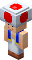Minecraft (skin)