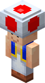 Minecraft Mario Mash-Up Toad.png