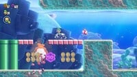 First 10 Flower Coin in Leaping Smackerel