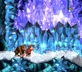 The Kongs stand at the beginning of the level