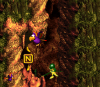 The N in Buzzer Barrage from Donkey Kong Country 3: Dixie Kong's Double Trouble!