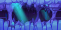Crumbling Cavern Theme