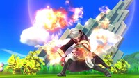 Robin Arcfire Wii U.jpg