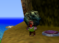A setup for a Golden Banana for Chunky Kong on DK Isles.
