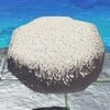 Screenshot of a sand chunk from Donkey Kong Bananza.