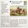 "How did American Indian nomads travel before they had horses?" (back)