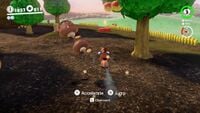 Goomba Woods, found in the Mushroom Kingdom in Super Mario Odyssey.