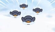 Penguins sliding on snow