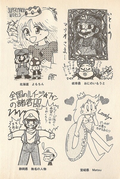 File:Fanart 2 SMK2.jpg