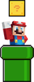 Mario in a pipe under a ? Block
