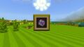 Minecraft Mario Mash-Up Shulker Shell.jpg
