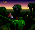 Diddy Kong rides down an area on a barrel.