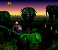 Donkey Kong Country - Desciclopédia