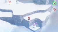 A group of two Regional Coins in the Snow Kingdom.