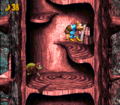 The Kongs climb a tree in the original version of the game.
