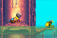 The Kongs find the Koin of Sunken Spruce in the Game Boy Advance remake of Donkey Kong Country 3