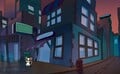 The cat at night