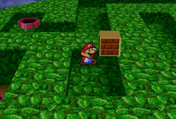 Last ? Block in Flower Fields of Paper Mario.
