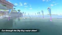A mission in Mario Kart World