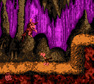 Necky Nutmare The fourth level of Chimp Caverns exclusively in the Game Boy Color version, Necky Nutmare is an ordinary cave level that features numerous Mini-Neckys, some perched Neckys, and gray Krushas.