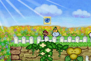 Mario standing next to the southeast Super Block in Flower Fields in Paper Mario.