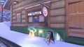 Yoshi's DK Pass baked goods.jpg