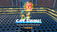 A Cat Shine in Clawswipe Colosseum in Bowser's Fury.