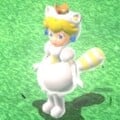 White Tanooki Peach in Super Mario 3D World