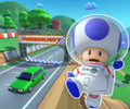 The course icon with Toad (Astronaut)