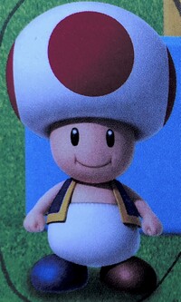 SMOSB Imposter Toad 1.jpg