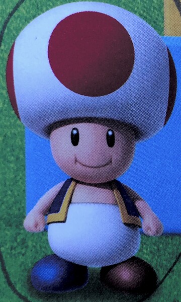 File:SMOSB Imposter Toad 1.jpg