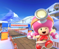 MKT Icon DKSummitWii ToadetteExplorer.png