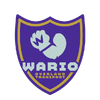 A sticker from Mario Kart World