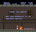 SMAS LL World-C In Another Castle.png