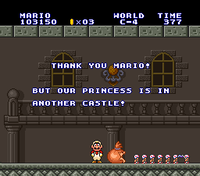 SMAS LL World-C In Another Castle.png