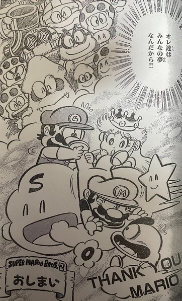 File:The End SMB2.jpg