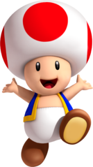 Gallery:Toad - Super Mario Wiki, the Mario encyclopedia