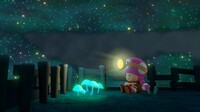 Toadette bioluminiscent mushrooms.jpg