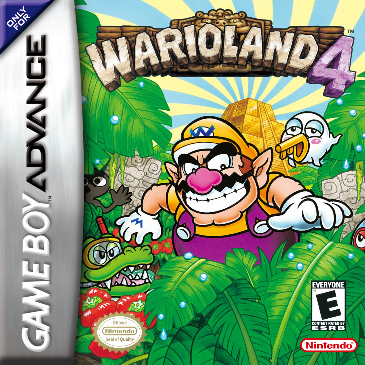 www.mariowiki.com
