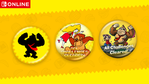 DK Challenge Nintendo profile icons offered at the end of the event
