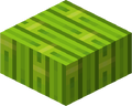 Bamboo Slab