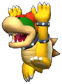 Koopa Kid