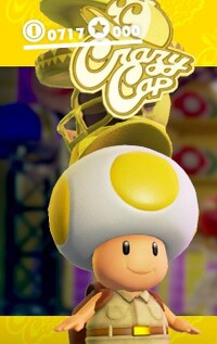 Yellow Toad SMO.jpg
