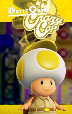 Brigade Yellow Toad - Super Mario Wiki, the Mario encyclopedia