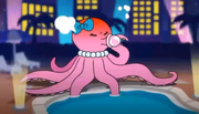 Poolopus still mad