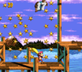 Dixie and Kiddy grab stars in a Bonus Level