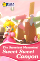 A Galaxy Air Sweet Sweet Canyon poster from Mario Kart 8