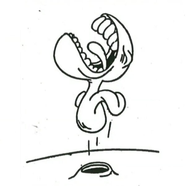 File:TAOSMB3 Nipper Plant Concept Art.jpg