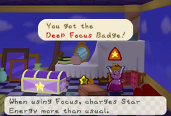 Obtaining the Deep Focus badge in Peach's Castle