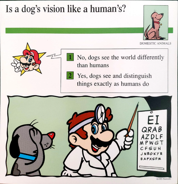 File:Dog vision quiz card.png